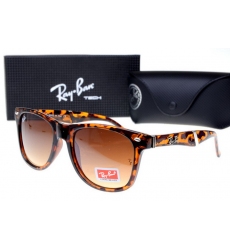 Ray-ban Glasses-1432